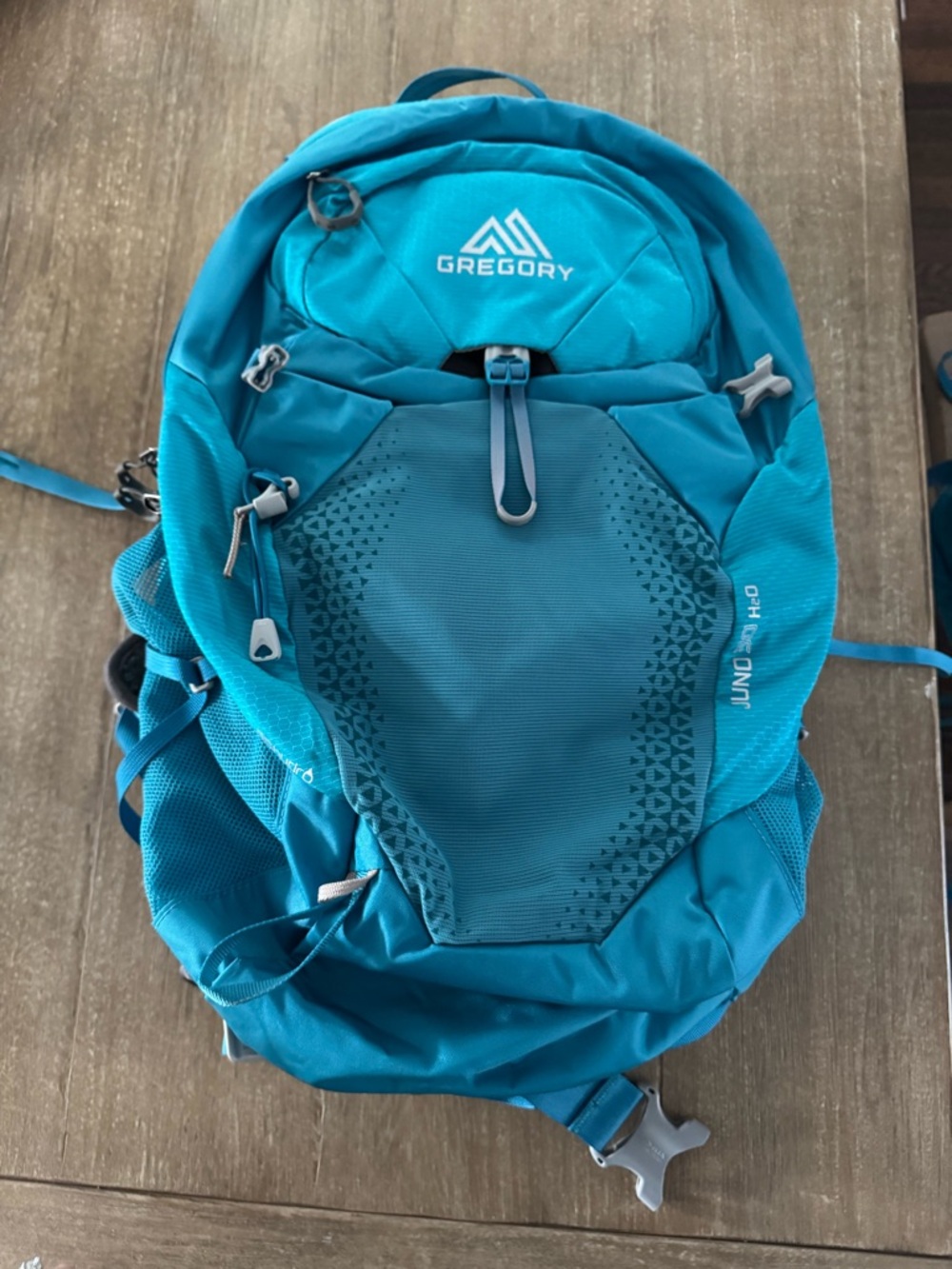 Gregory H20 Teal Daypack 30 liter Plus Size..